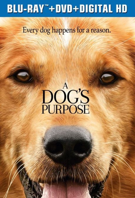 A Dog’s Purpose / Кучешки живот (2017)